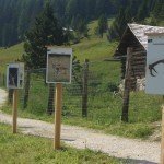 Il sentiero natura Zannes