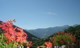 tschamperton-villnoess-83