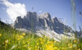 tschamperton-villnoess-60